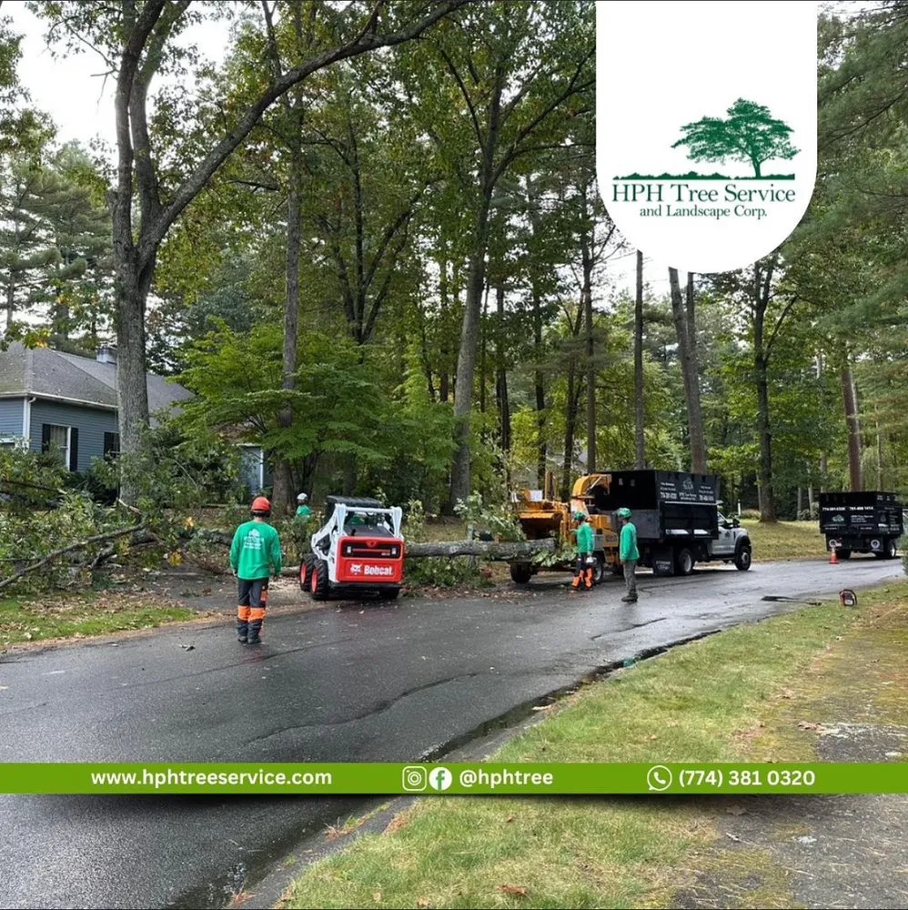 Trusted lawn care service for residential properties across Stoughton, MA - HPH Tree Service And Landscape