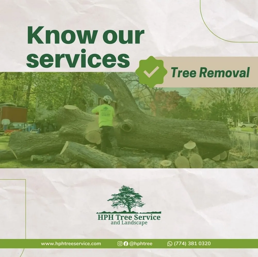 Professional landscaping services near you in Stoughton, MA by HPH Tree Service And Landscape
