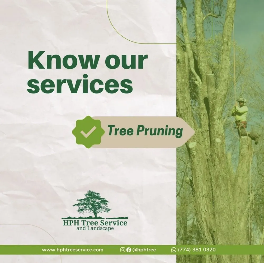 Local landscape installation in Stoughton, MA - HPH Tree Service And Landscape