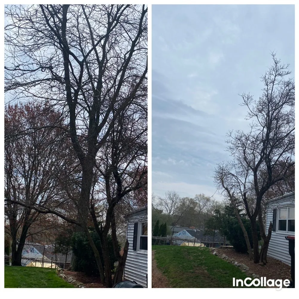 Professional outdoor landscaping experts serving Stoughton, MA - HPH Tree Service And Landscape