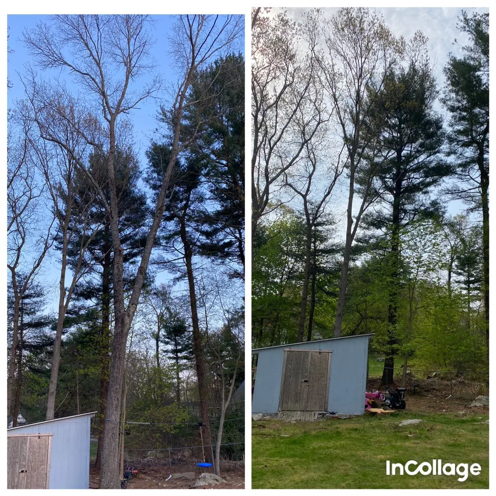 Affordable residential landscaping for beautiful yards across Stoughton, MA - HPH Tree Service And Landscape