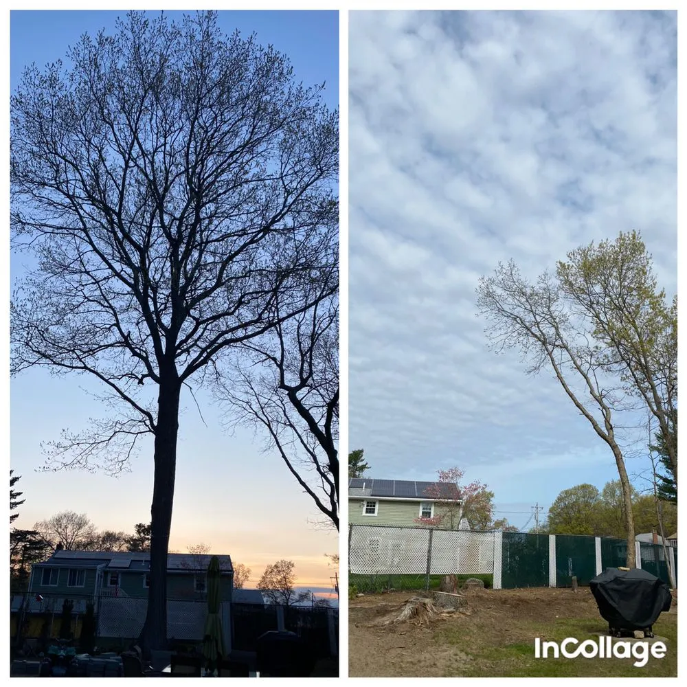 Expert lawn mowing service in Stoughton, MA by HPH Tree Service And Landscape