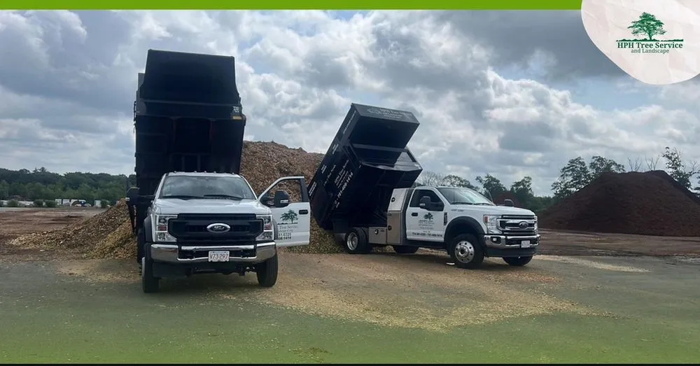 Custom lawn care service in Stoughton, MA - HPH Tree Service And Landscape