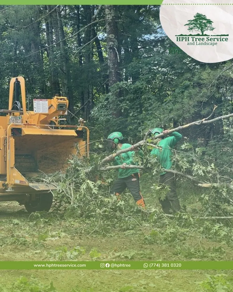 Local landscaping services for beautiful yards across Stoughton, MA - HPH Tree Service And Landscape