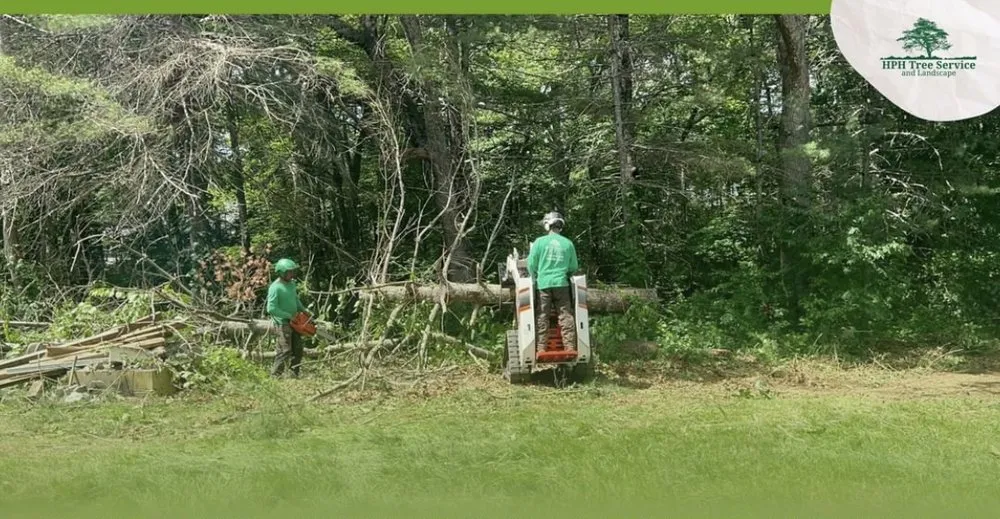 Expert landscaping services experts serving Stoughton, MA - HPH Tree Service And Landscape