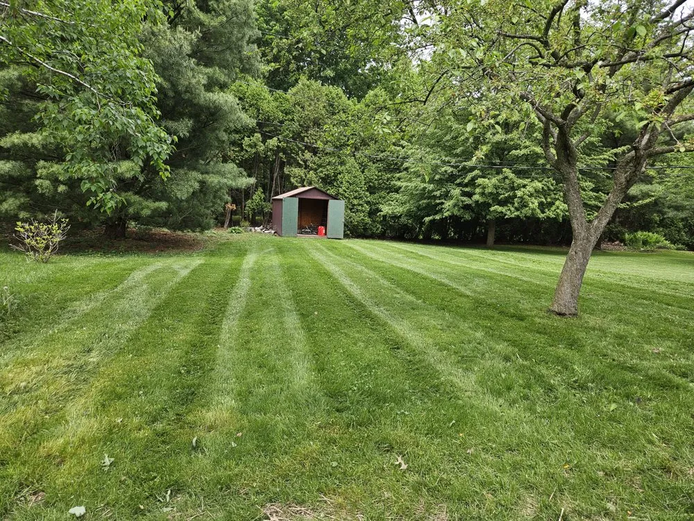 Expert lawn care service for beautiful yards across Louisville, OH - HPRI Services