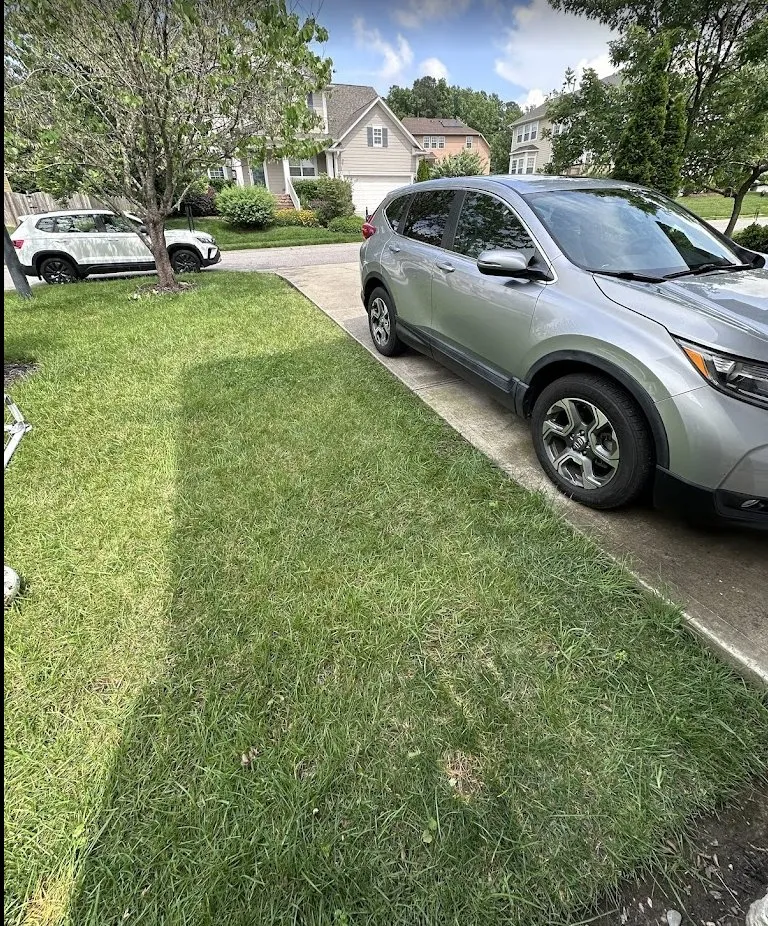 Professional landscape installation in Franklinton, NC - HR Grading