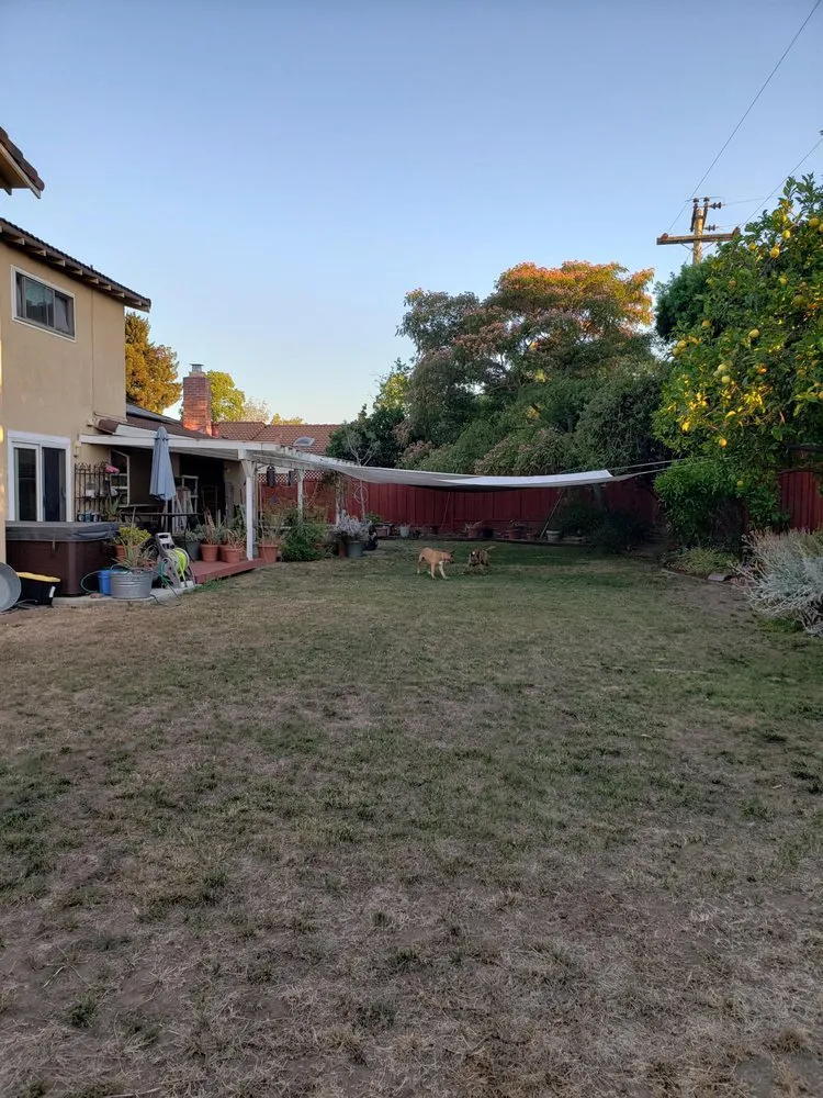 Top-rated yard cleanup service for year-round maintenance across Sunnvale, CA - HR landscape & home improvement
