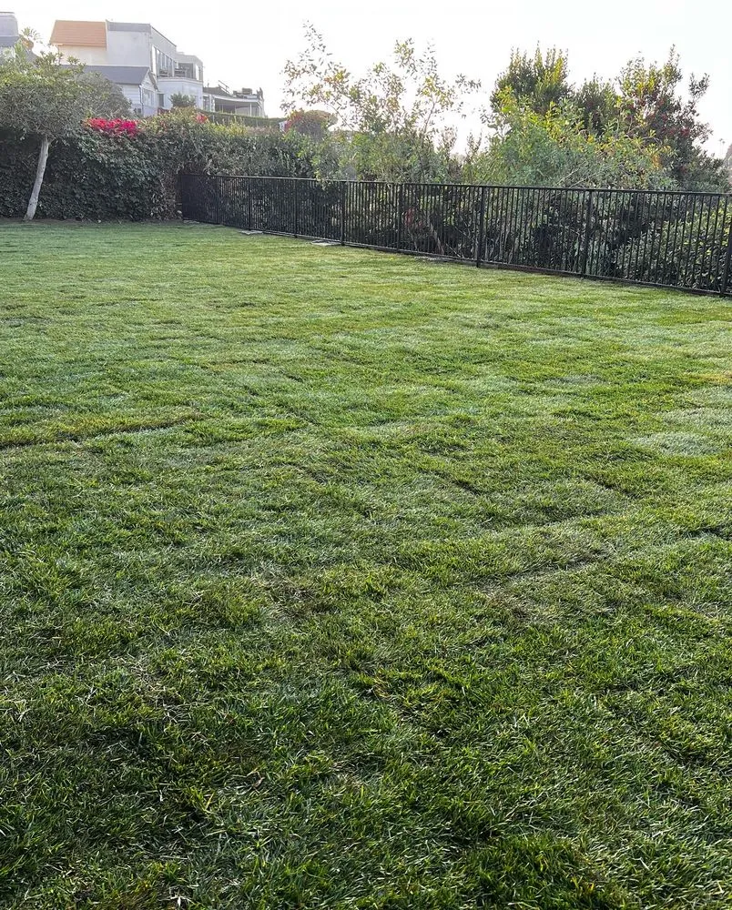 Affordable lawn care service for outdoor upgrades in Los Angeles, CA by H&R Landscape