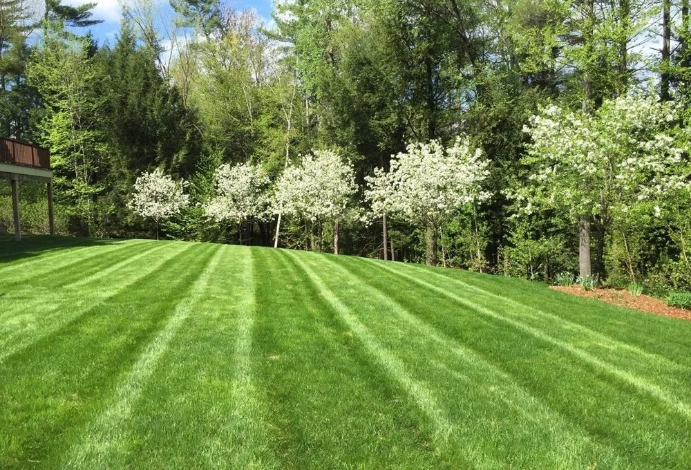 Top-rated lawn care service with custom design in Bear Creek Village, PA by H&R Landscaping