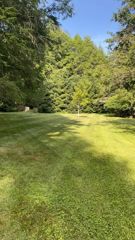 Reliable yard cleanup service in Bear Creek Village, PA - H&R Landscaping