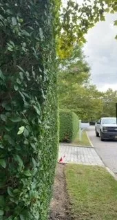 Local outdoor landscaping for residential properties across Mastic, NY - H.R. Landscaping