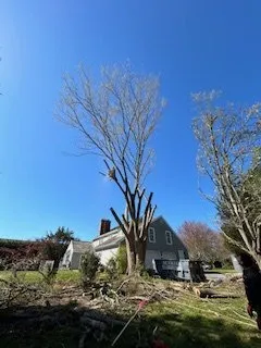 Affordable yard cleanup service in Mastic, NY by H.R. Landscaping