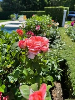 Top-rated yard maintenance for outdoor upgrades in Mastic, NY by H.R. Landscaping