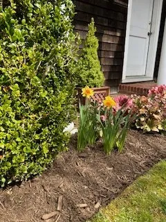 Local yard maintenance for residential properties in Mastic, NY by H.R. Landscaping