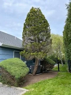 Top-rated yard cleanup service in Mastic, NY - H.R. Landscaping