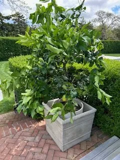 Expert landscape installation in Mastic, NY by H.R. Landscaping