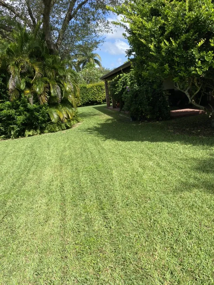 Top-rated residential landscaping for year-round maintenance in Miami, FL by H&R Landscaping