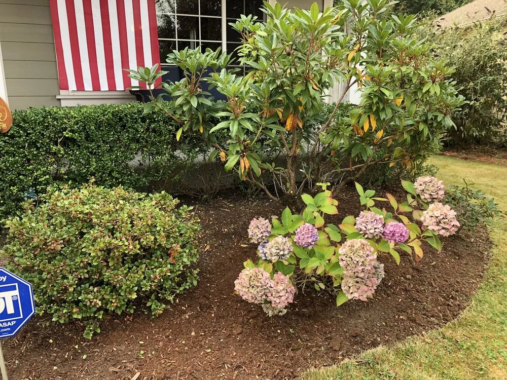 Professional landscaping services for outdoor upgrades in Marysville, WA by HR Landscaping Services