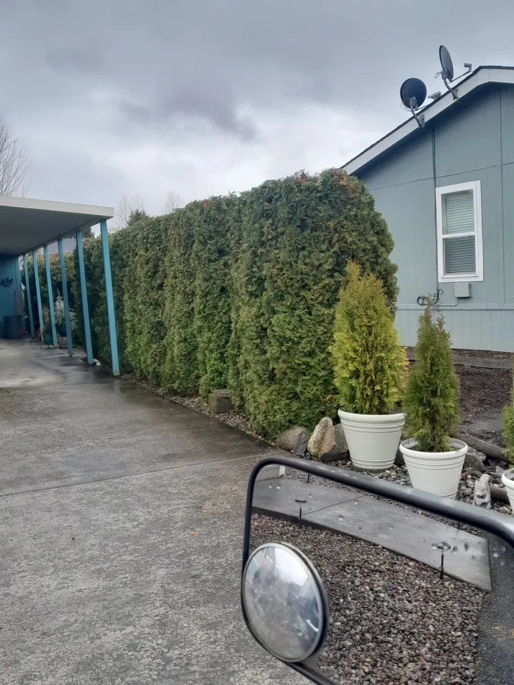 Local landscape design for beautiful yards in Marysville, WA by HR Landscaping Services