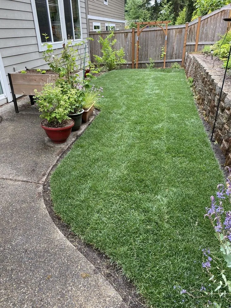 Local yard maintenance near you across Marysville, WA - HR Landscaping Services