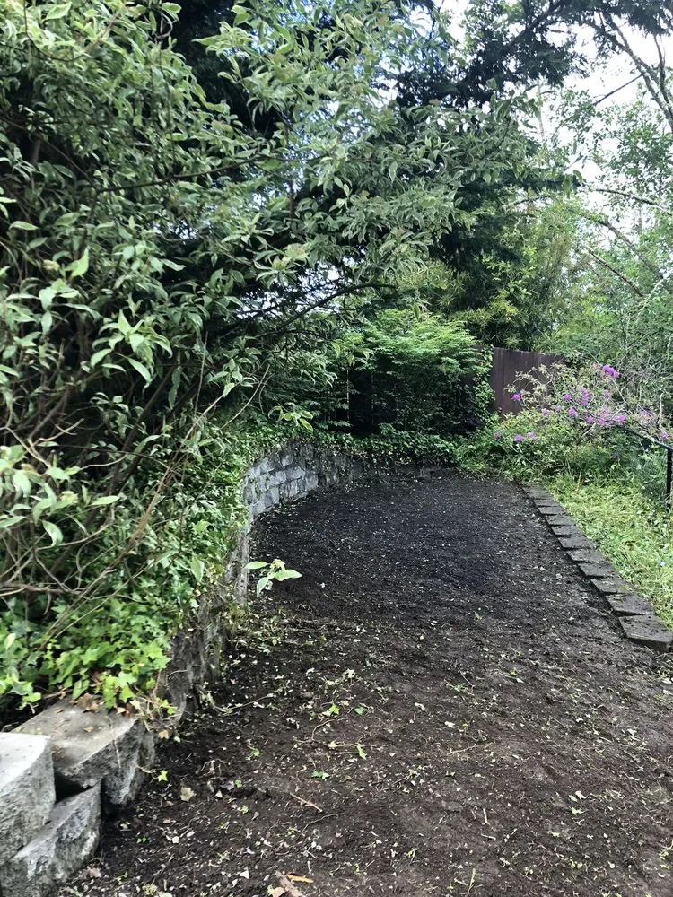 Trusted yard cleanup service in Marysville, WA by HR Landscaping Services