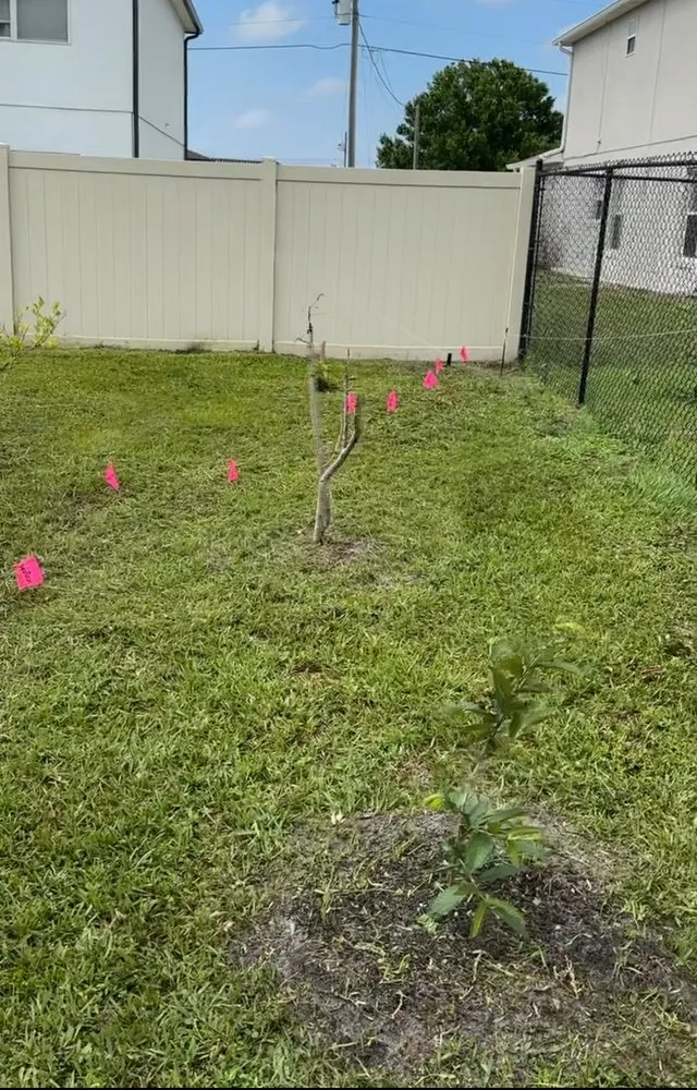 Affordable yard maintenance experts serving Orlando, FL - HR Lawn Care Services