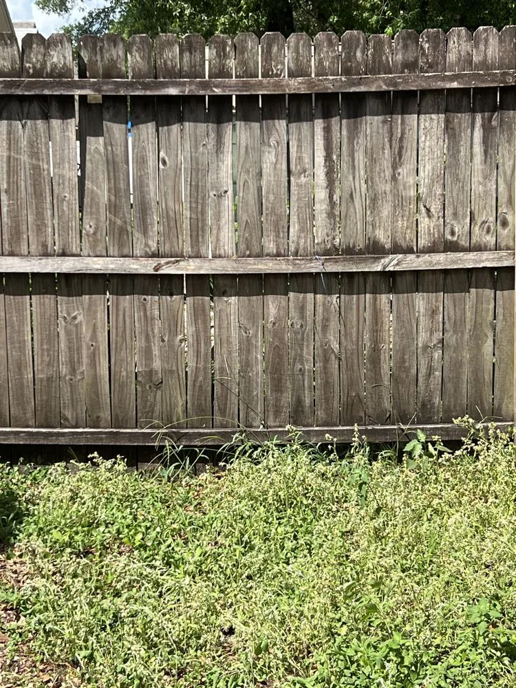 Top-rated lawn care service experts serving Orlando, FL - HR Lawn Care Services