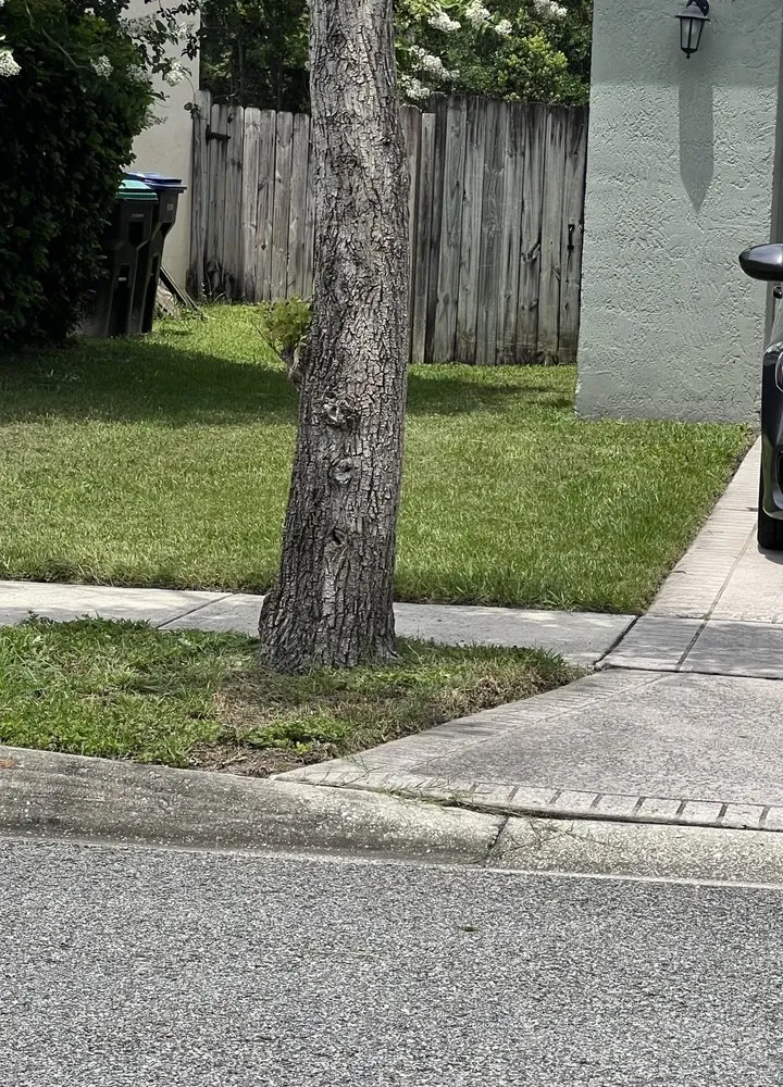 Top-rated outdoor landscaping with custom design in Orlando, FL by HR Lawn Care Services