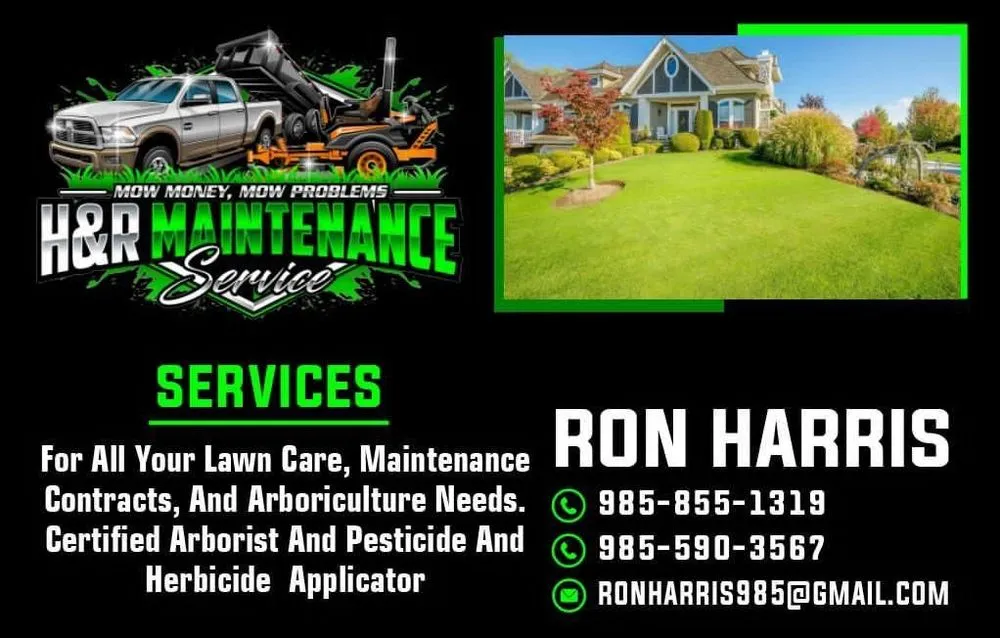 Custom lawn care service for beautiful yards in Raceland, LA by H&R Maintenance Service