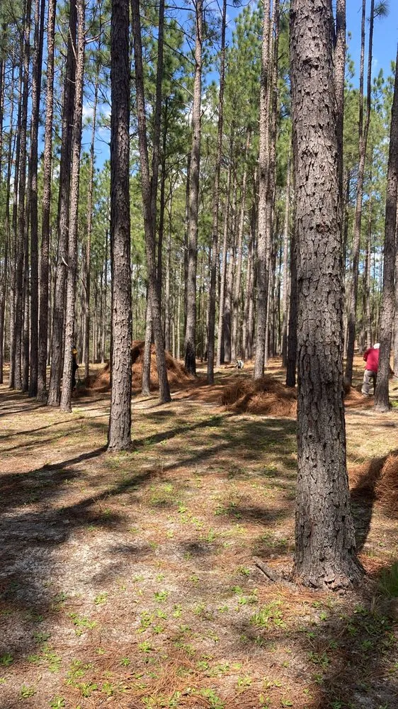 Trusted lawn mowing service in Sanford, NC by HR Pinestraw & Landscaping