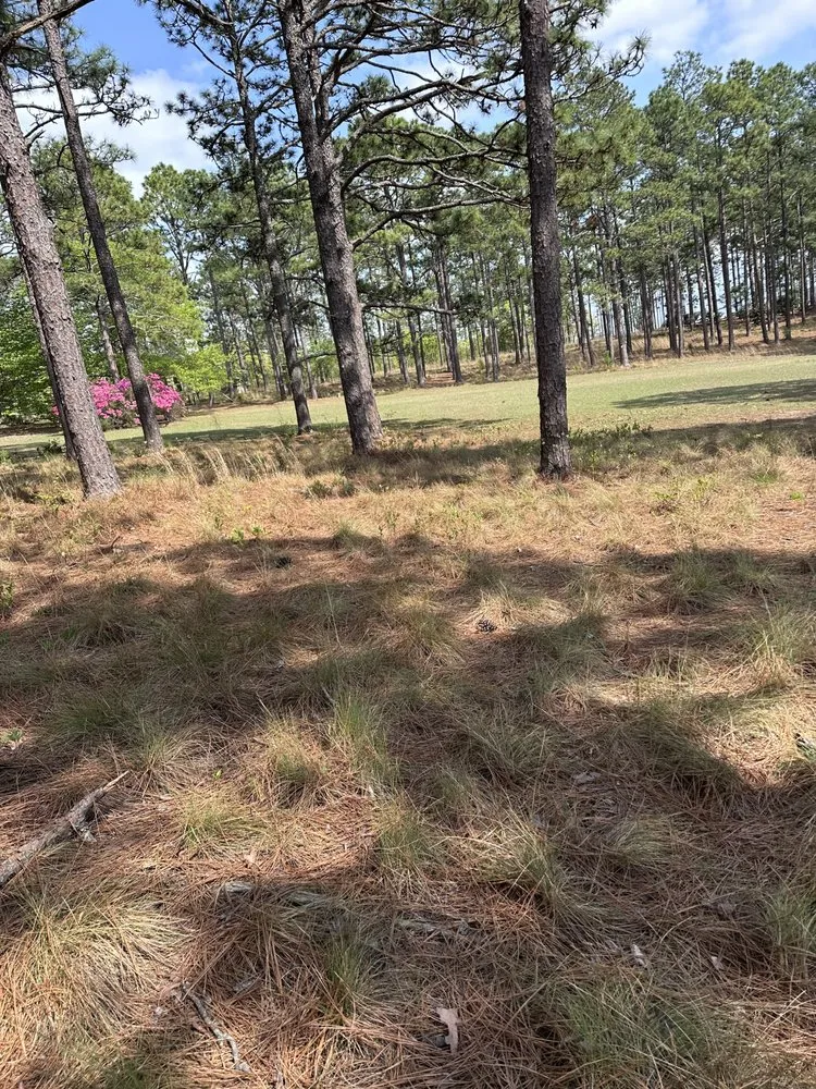 Professional lawn mowing service in Sanford, NC by HR Pinestraw & Landscaping