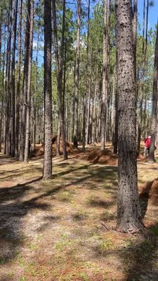 HR Pinestraw & Landscaping Logo