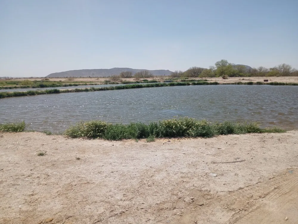 Expert residential landscaping experts serving Dateland, AZ - HR Sunlimited