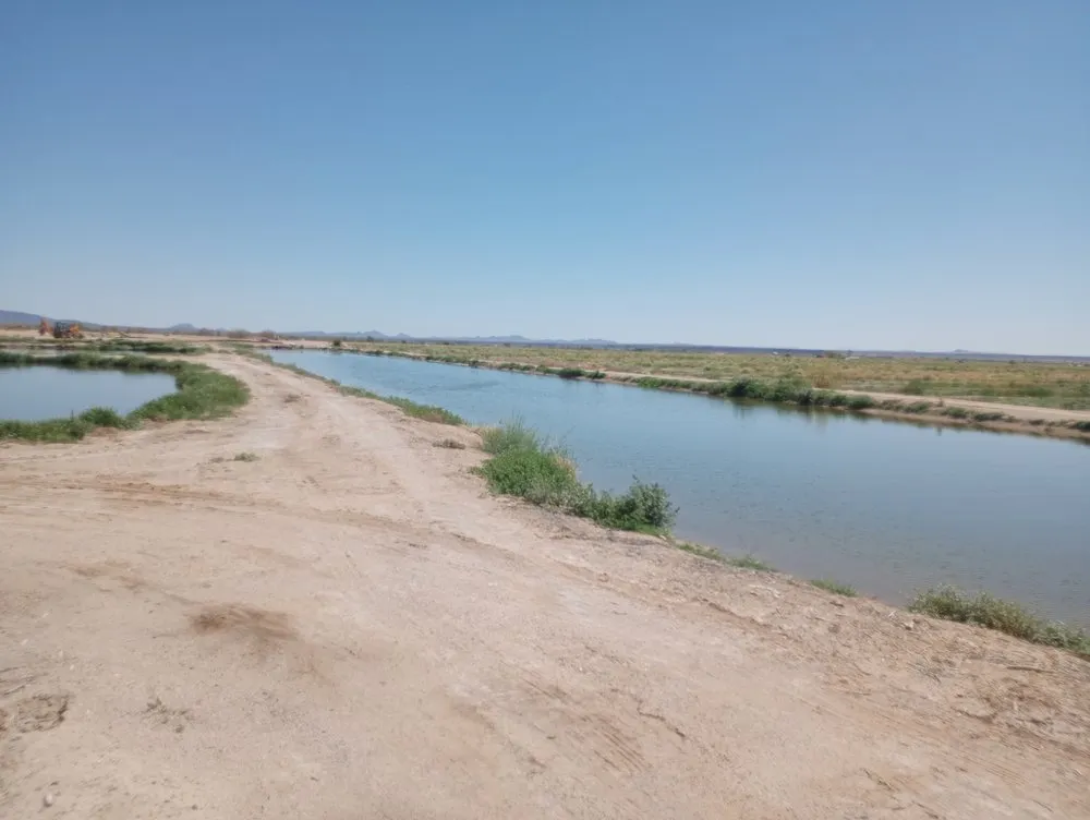 Custom landscaping services in Dateland, AZ by HR Sunlimited