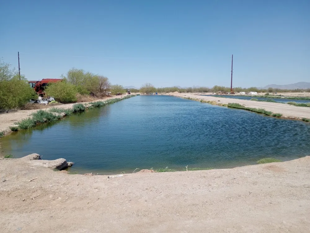 Reliable landscape installation in Dateland, AZ by HR Sunlimited