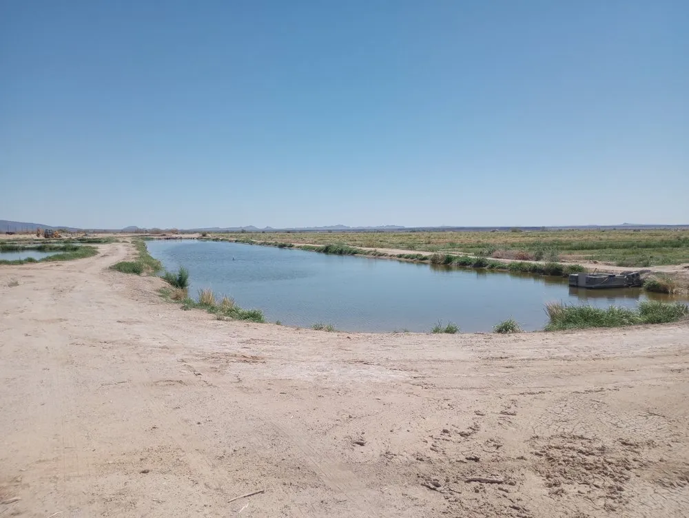 Affordable landscape design for residential properties in Dateland, AZ by HR Sunlimited