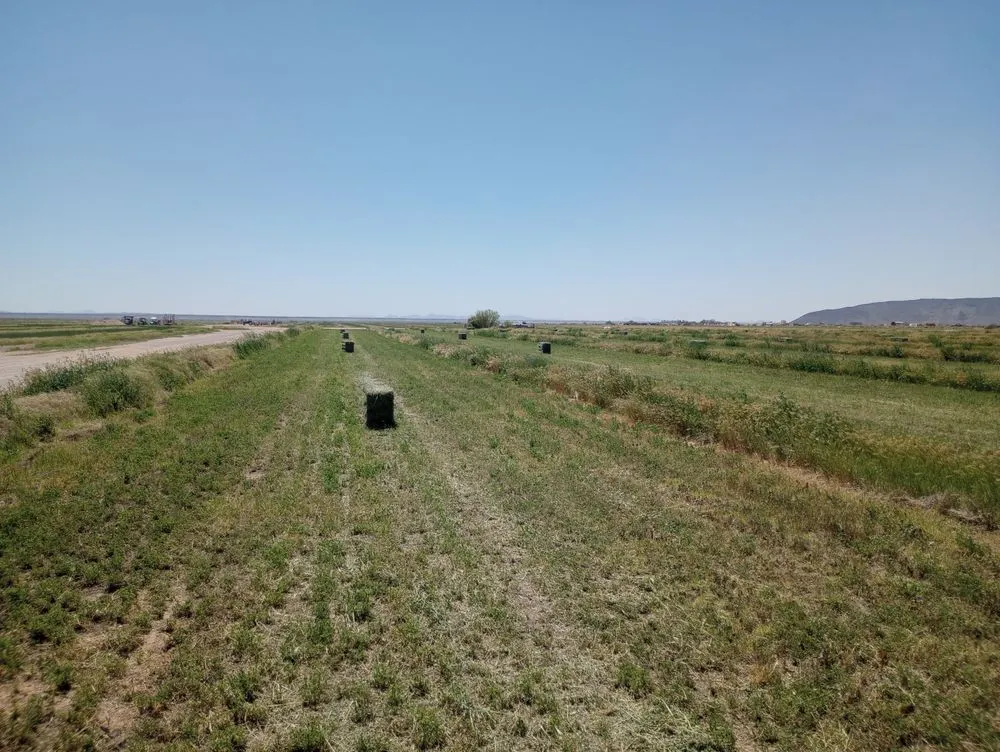 Affordable landscaping services in Dateland, AZ by HR Sunlimited