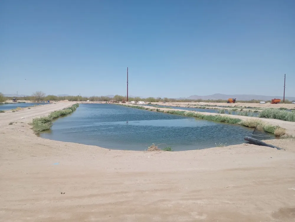 Trusted landscape installation experts serving Dateland, AZ - HR Sunlimited