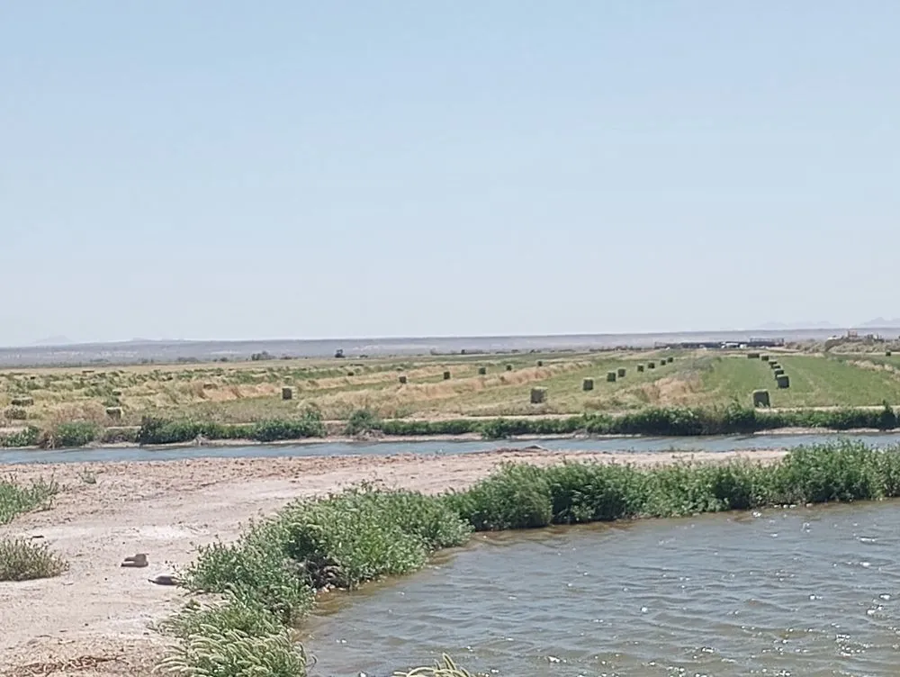 Professional residential landscaping near you in Dateland, AZ by HR Sunlimited