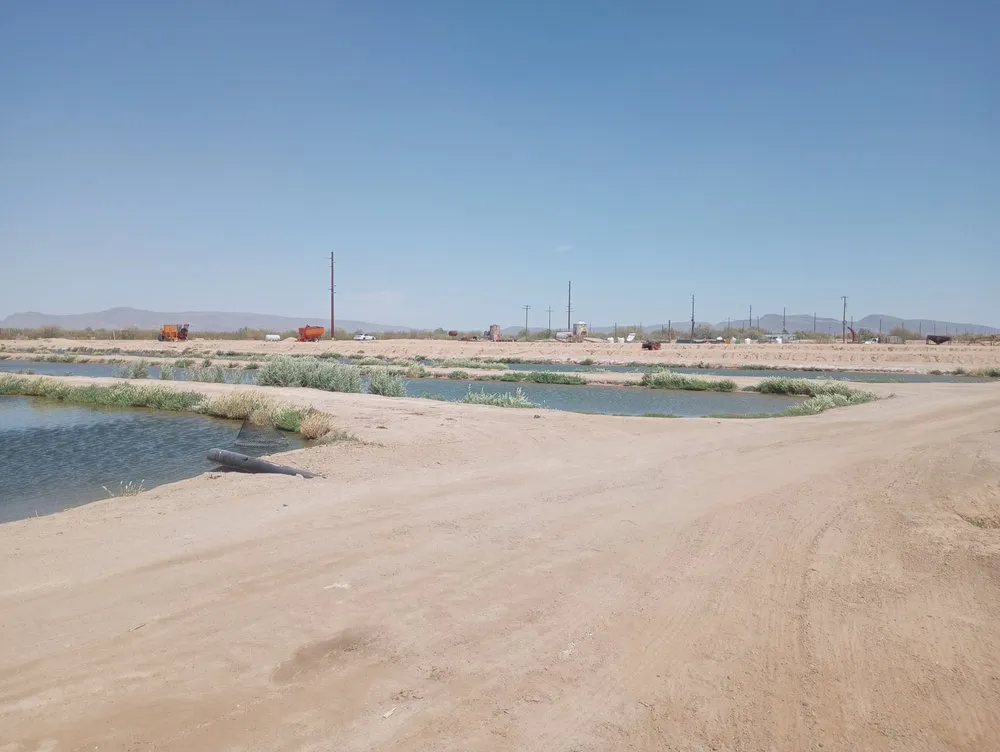 Custom garden landscaping in Dateland, AZ - HR Sunlimited