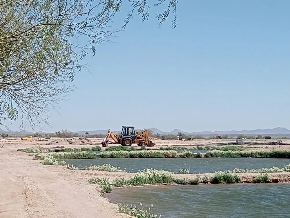 Reliable landscaping services in Dateland, AZ by HR Sunlimited