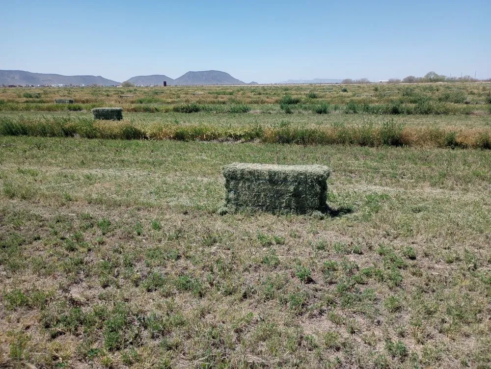 Reliable lawn mowing service in Dateland, AZ by HR Sunlimited