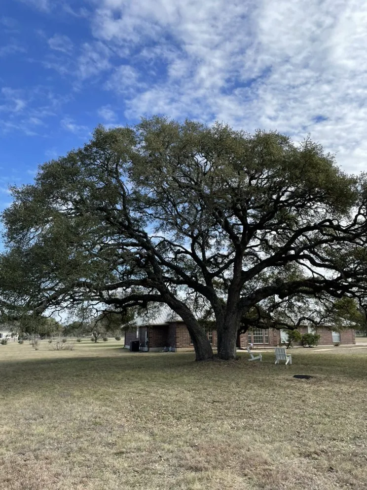 Top-rated garden landscaping experts serving Austin, TX - HR Tree Service and Landscaping