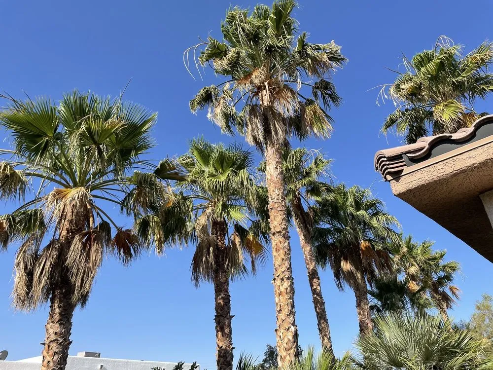 Professional landscaping services in Las Vegas, NV - H.Ramirez Landscaping