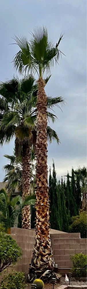 Trusted garden landscaping for beautiful yards across Las Vegas, NV - H.Ramirez Landscaping