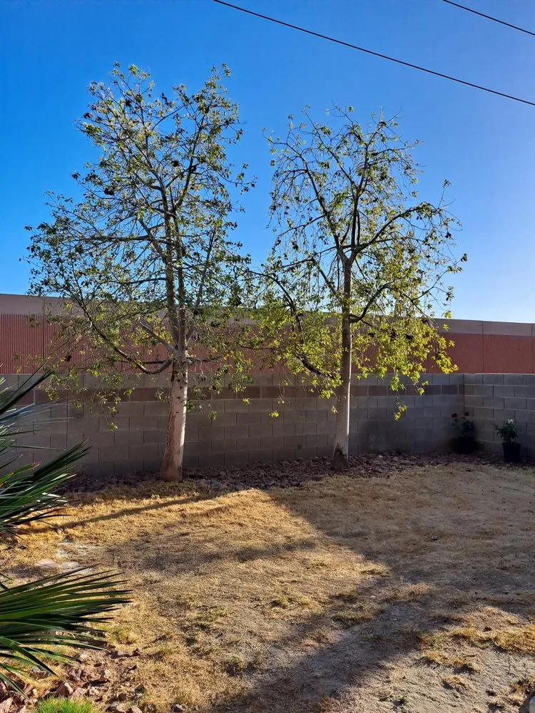 Reliable landscaping services in Las Vegas, NV by H.Ramirez Landscaping