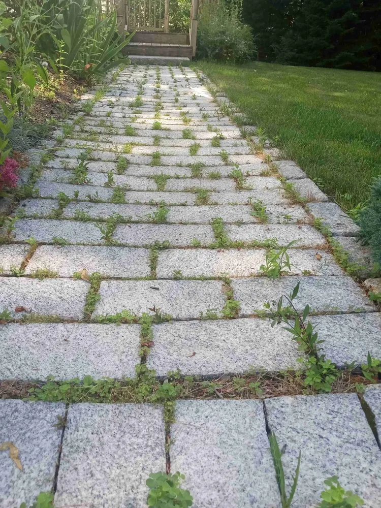 Trusted yard cleanup service for residential properties in Hollis Center, ME by Hrc Lawncare