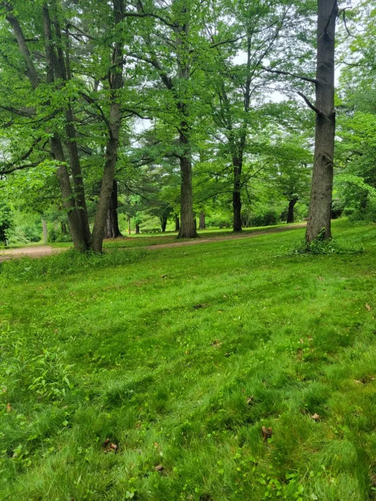 Professional lawn mowing service in Campbell, OH - HRM Lawn Service and Snowplowing