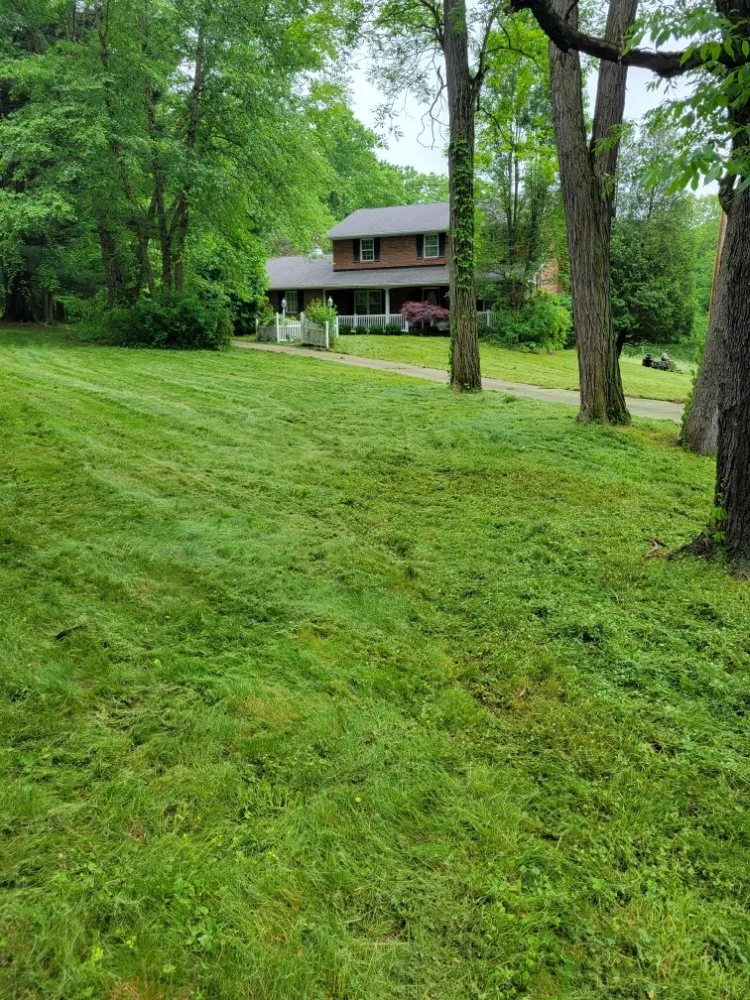 Top-rated yard cleanup service experts serving Campbell, OH - HRM Lawn Service and Snowplowing